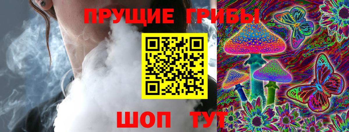 Ачхой-Мартан  Галлюциногенные грибы ЛСД  наркотики  Вход с VPN 