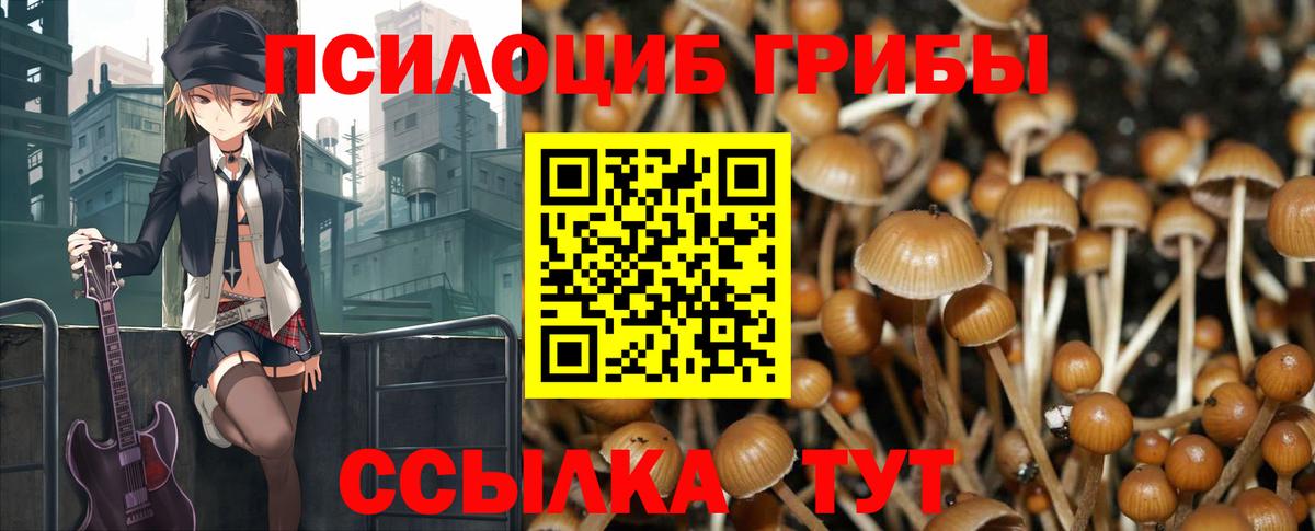 Галлюциногенные грибы Magic Shrooms Ачхой-Мартан